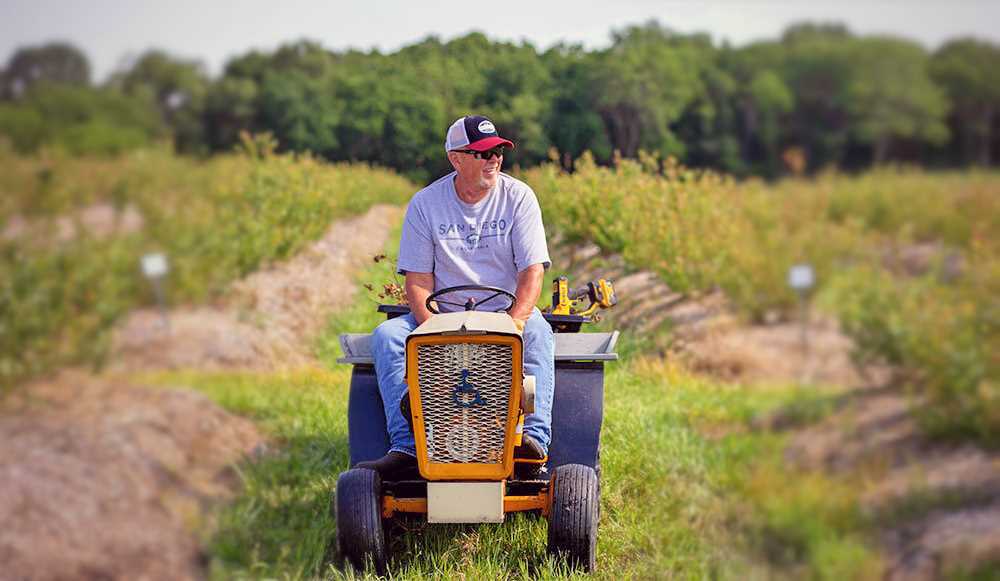 SBJ Work With Our Strawberry Farm in Republic Missouri